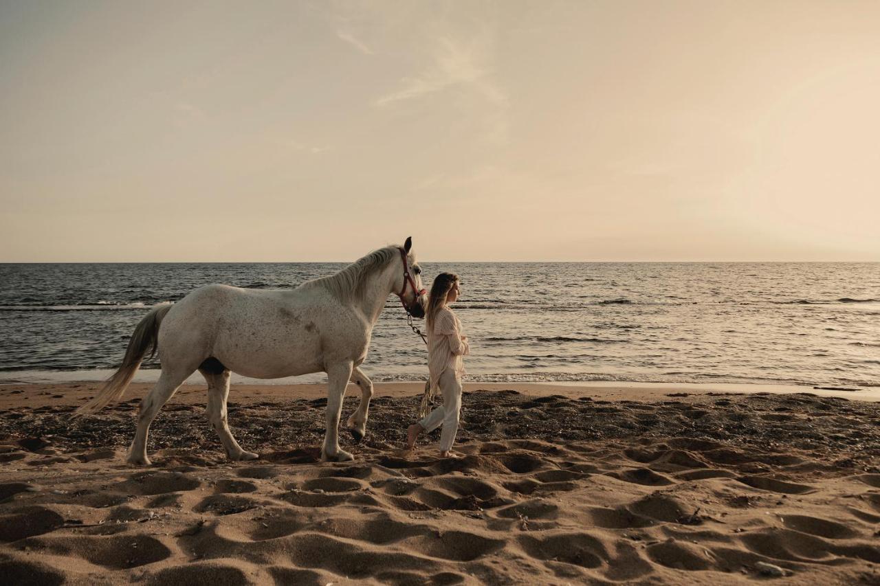 Meraviglia Slow Living Preveze Dış mekan fotoğraf